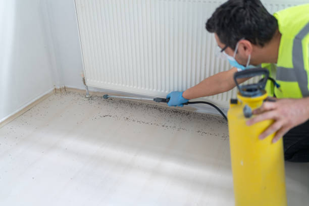 Best Pest Removal Services  in Timmonsville, SC